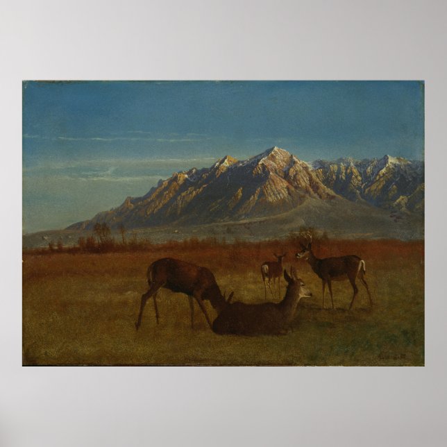 Póster Venado en casa de montaña por Albert Bierstadt (Frente)