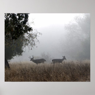 Póster Venado en niebla