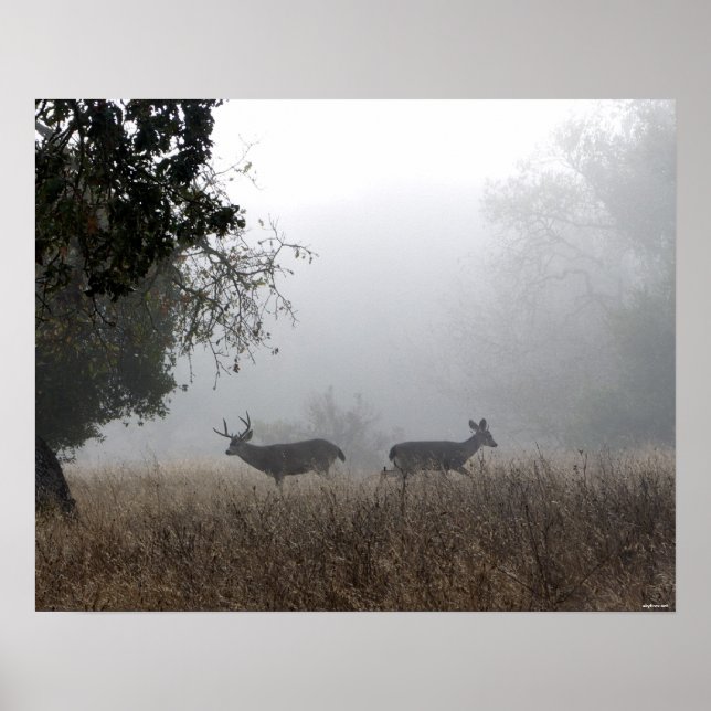 Póster Venado en niebla (Frente)