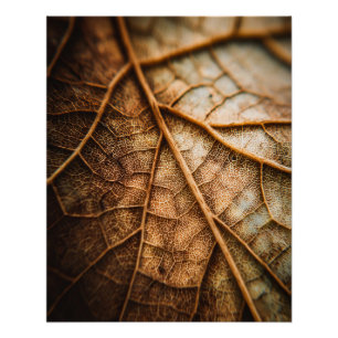 Póster Venas de Otoño