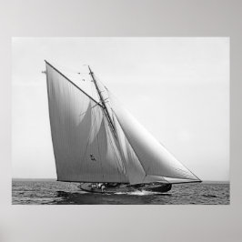 Póster Vencedor Redux