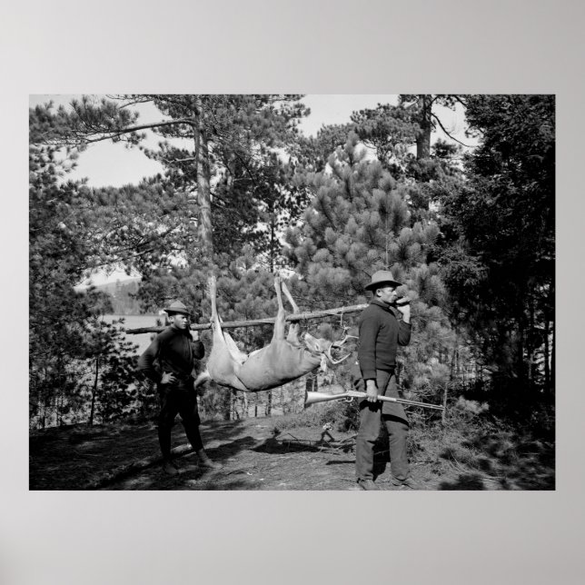 Póster Veneno en un palo, a principios del siglo XX (Frente)