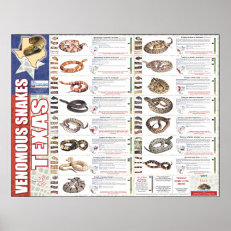 Póster Venenosas serpientes de Texas Poser por el NNTRC