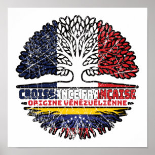 Póster Venezuela Venezolano Francés Francia Raíces Bander
