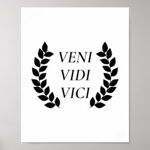 Póster Veni Vidi Vici