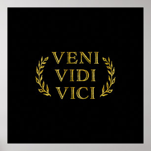 Póster Veni Vidi Vici Funny Game Winner