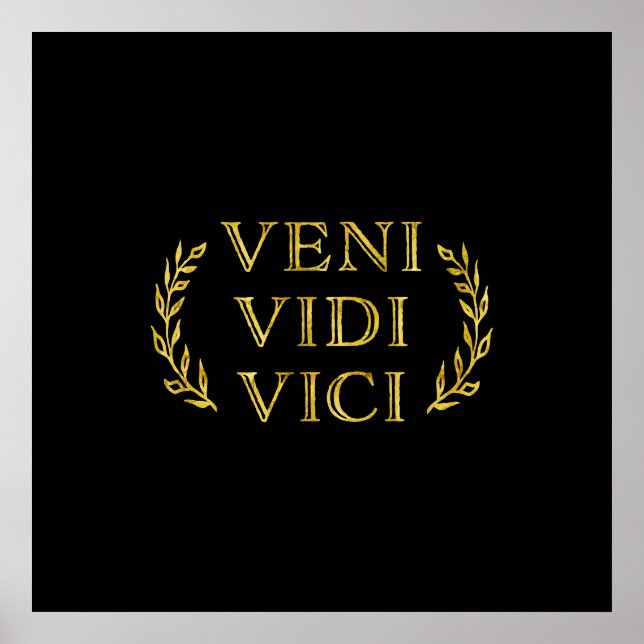 Póster Veni Vidi Vici Funny Game Winner (Frente)