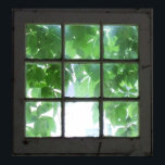 Póster Ventana<br><div class="desc">Con las hojas mostrándose.</div>