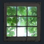 Póster Ventana<br><div class="desc">Con las hojas mostrándose.</div>