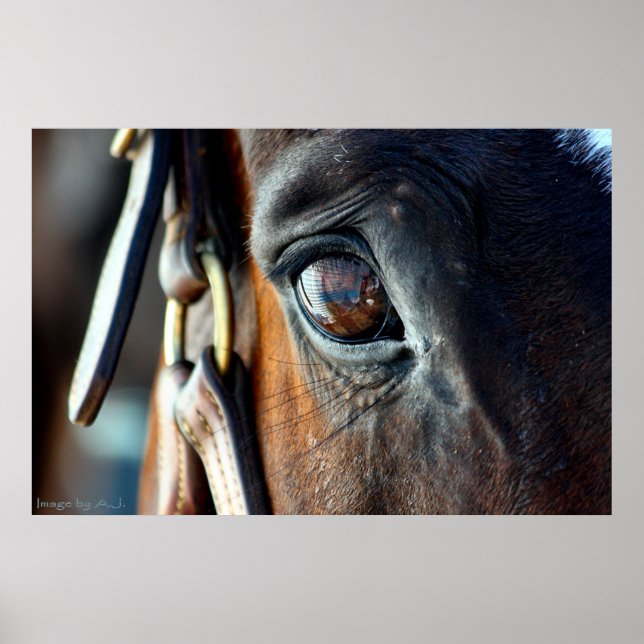Póster Ventana a su alma (Frente)