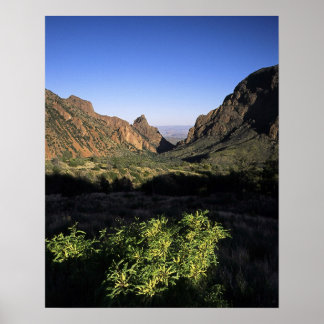 Póster Ventana al desierto