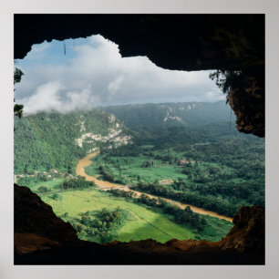 Póster Ventana de la jungla