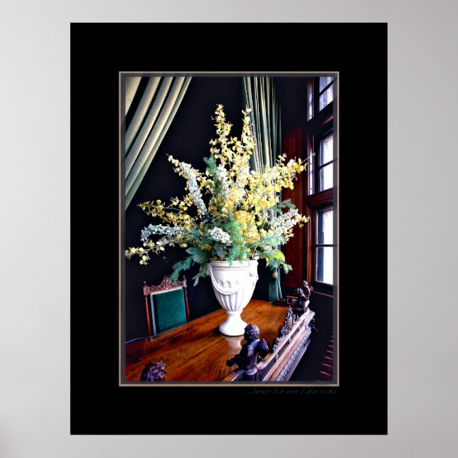 Póster Ventana De La Manor Photography Poster Art Print (Frente)