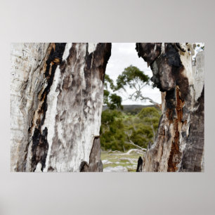 Póster Ventana de la Naturaleza