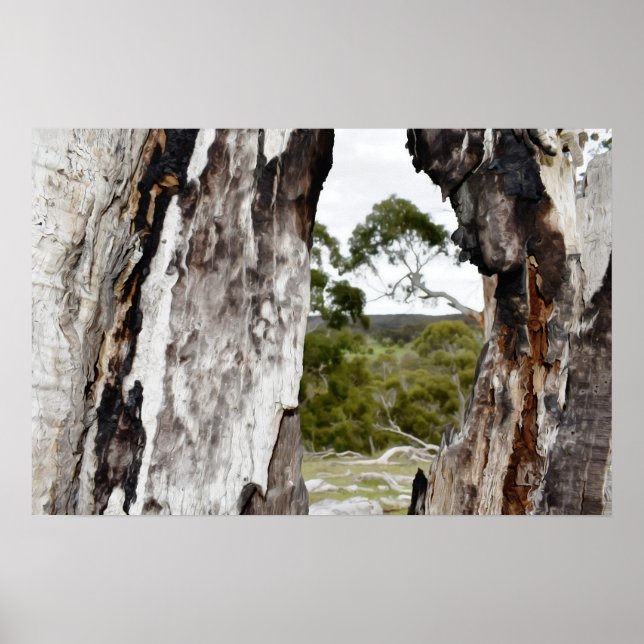 Póster Ventana de la Naturaleza (Frente)