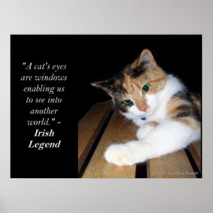 Póster Ventana de los ojos de gatos a otro mundo