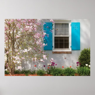 Póster Ventana de primavera