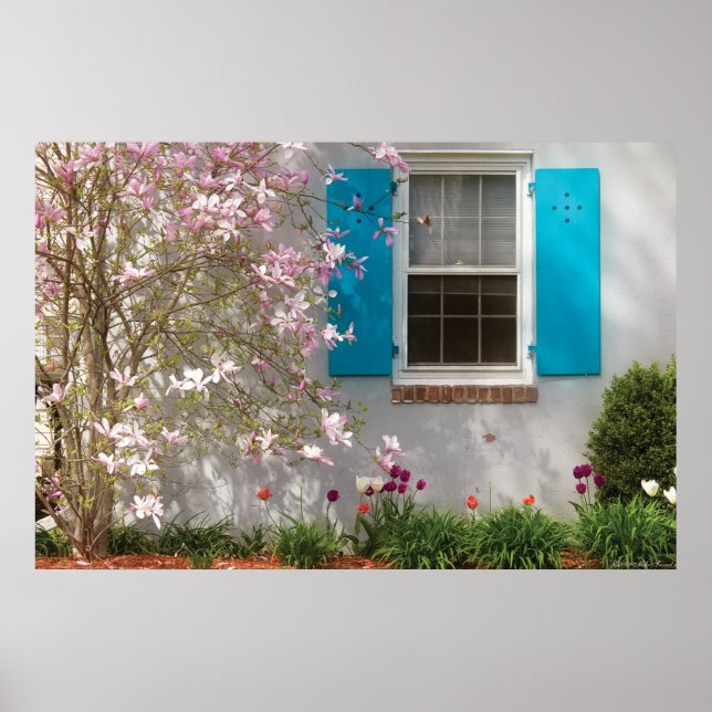 Póster Ventana de primavera (Frente)