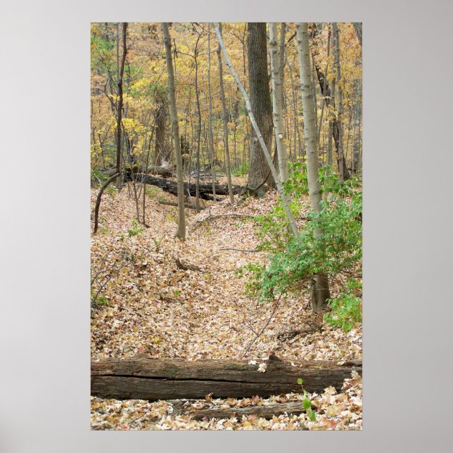 Póster Ventana de Woodland (Frente)