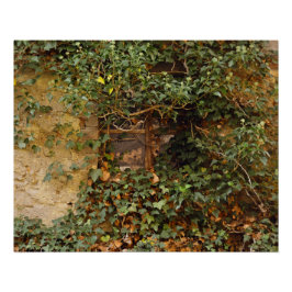 Póster Ventana embrujada   