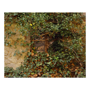 Póster Ventana embrujada   