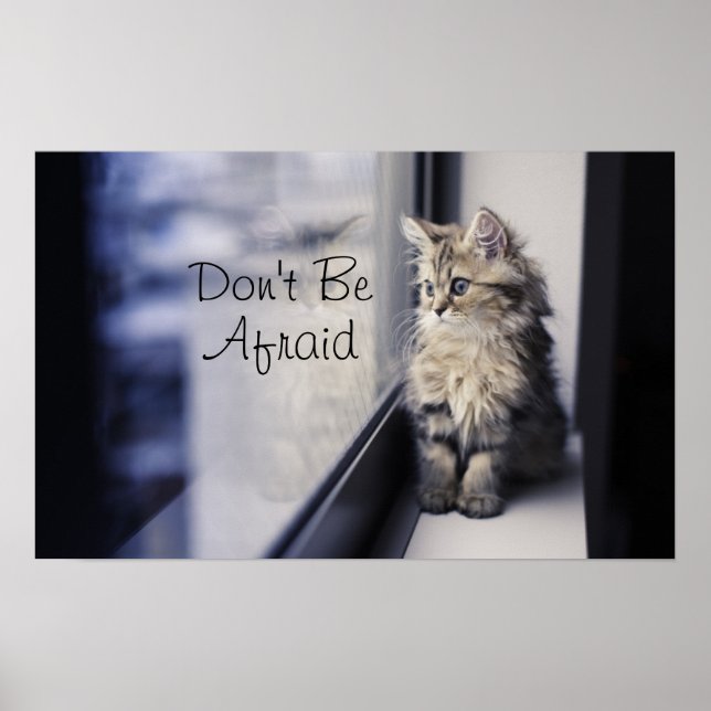 Póster Ventana Mirando hacia fuera (Frente)