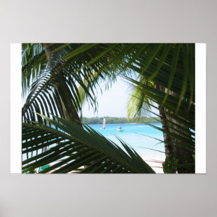 Póster Ventana Paraíso
