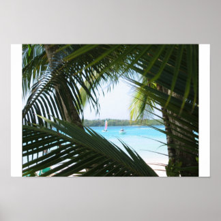 Póster Ventana Paraíso