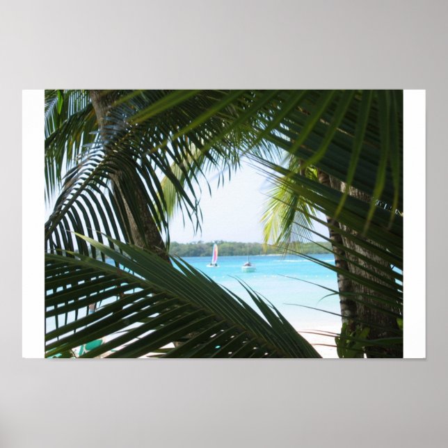 Póster Ventana Paraíso (Frente)