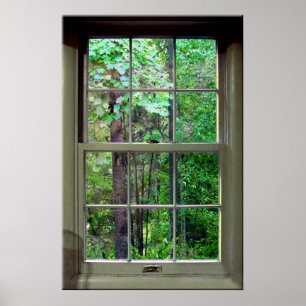 Póster Ventana portátil