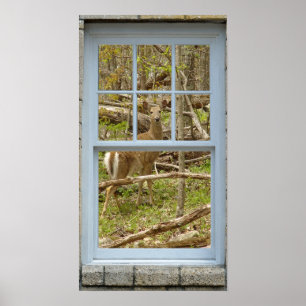 Póster Ventana que mira hacia fuera el poster de la gama