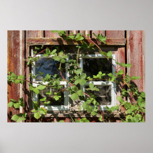 Póster Ventana sobredimensionada