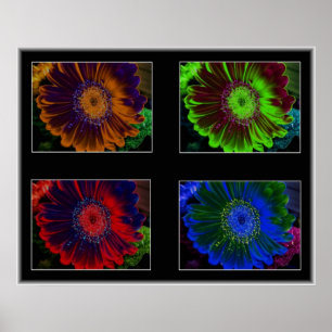 Póster Ventanas Florales