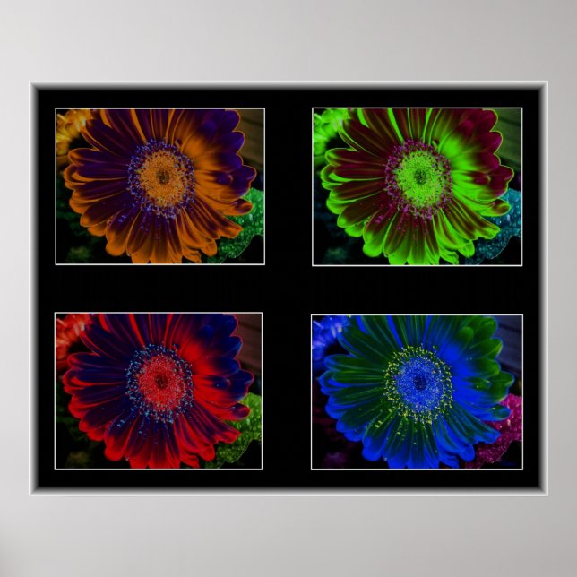 Póster Ventanas Florales (Frente)