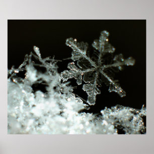 Póster Ventisca 2009 del copo de nieve