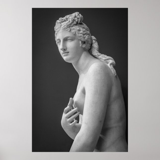 Póster Venus (Frente)