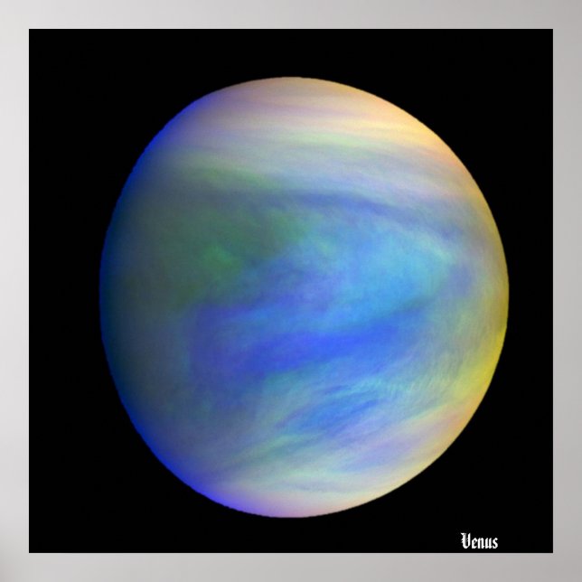 Póster Venus / (Frente)