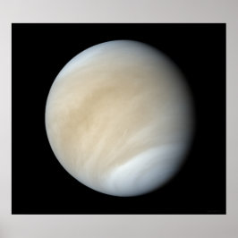 Póster Venus