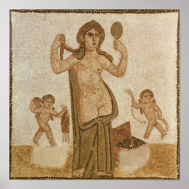 Póster Venus en su inodoro (Frente)