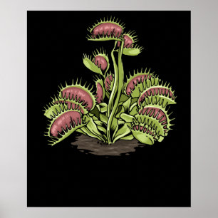 Póster Venus Fly Trap Planta Carnivorous Planta Venus Fly