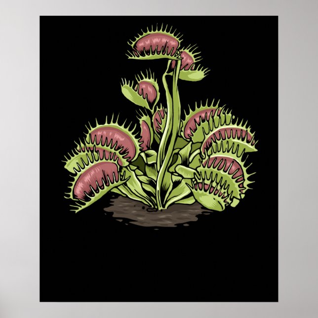 Póster Venus Fly Trap Planta Carnivorous Planta Venus Fly (Frente)