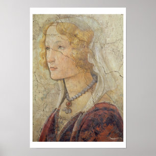 Póster Venus y las tres tolerancias que ofrecen los