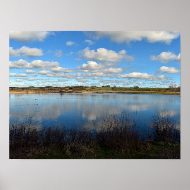 Póster Ver a través de humedales (Frente)