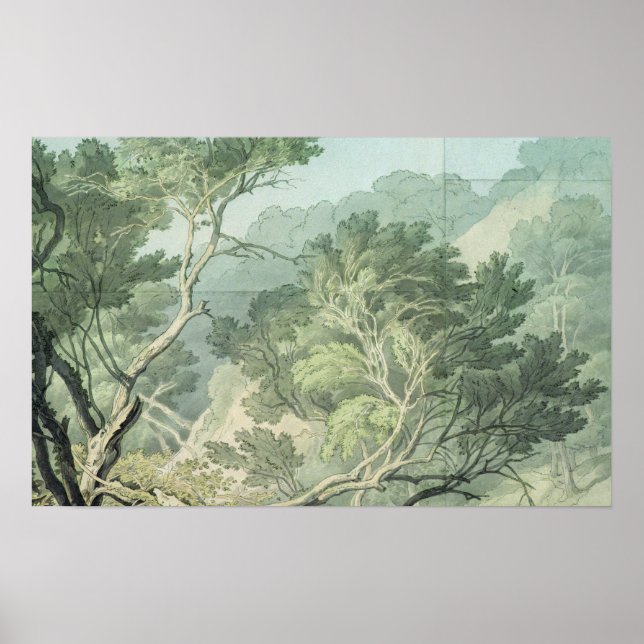 Póster Ver cerca de Fordlands, Exeter (Frente)