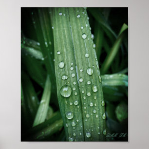 Póster Ver gotas de lluvia en poster de hoja mate.
