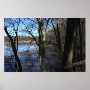 Póster Ver más allá del Poster de árboles