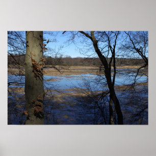 Póster Ver más allá del Poster de árboles