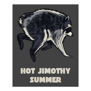 Póster Verano Caluroso Jimothy Mapache Divertido Meme Ani