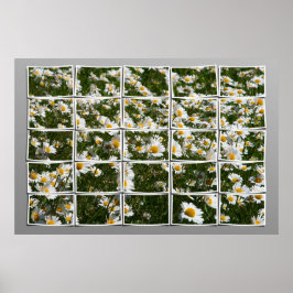 Póster Verano de 2006