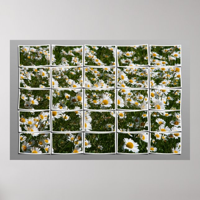 Póster Verano de 2006 (Frente)